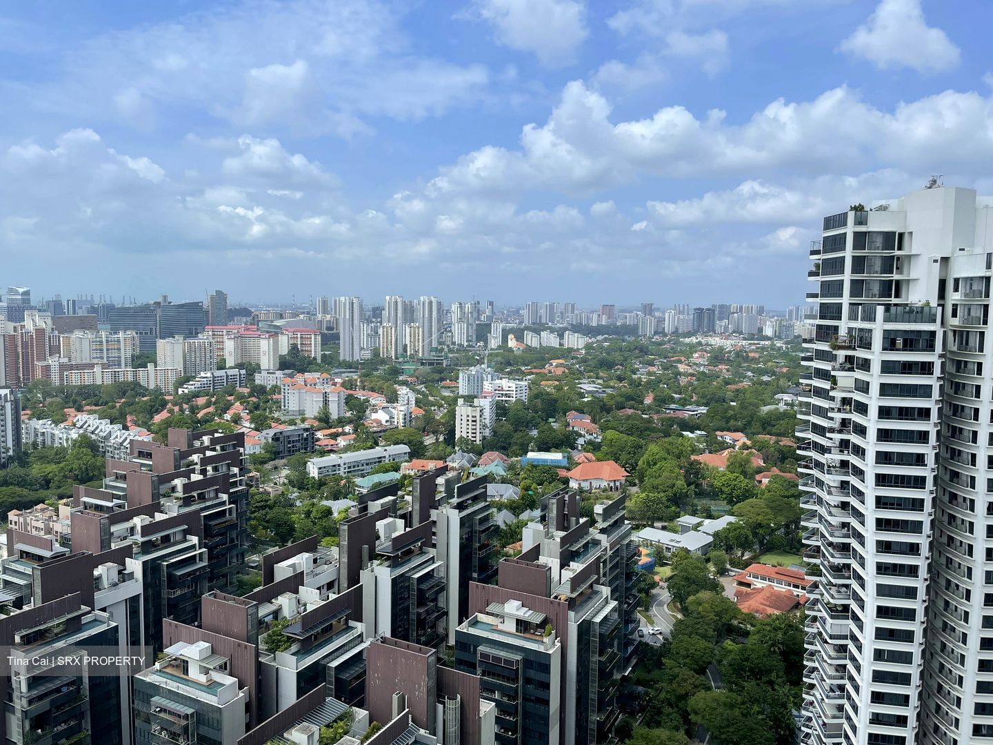 D'Leedon (D10), Condominium #531056971